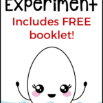 The Floating Egg Experiment: Free Worksheets