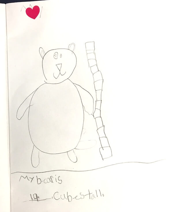 Measuring our teddy bears by 1st Grade students Measuring our teddy bears by 1st Grade students