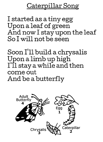Butterflies in First Grade: Free Butterfly Poems. GradeONEderful.com