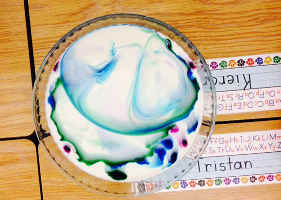 Rainbow Milk Experiment and Little Blue and Little Yellow Book Review by Grade ONEderful