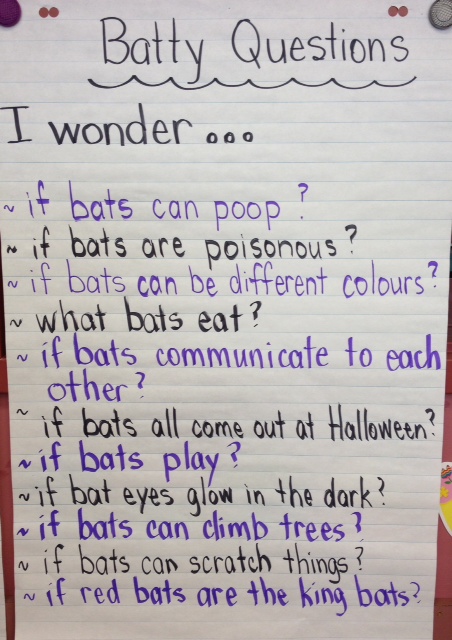 Learning about bats in Grade 1. Lots of pictures, ideas and links to inspire you!