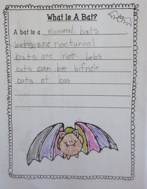 Learning about bats in Grade 1. Lots of pictures, ideas and links to inspire you!