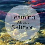 Lots of Ideas for a Salmon Unit