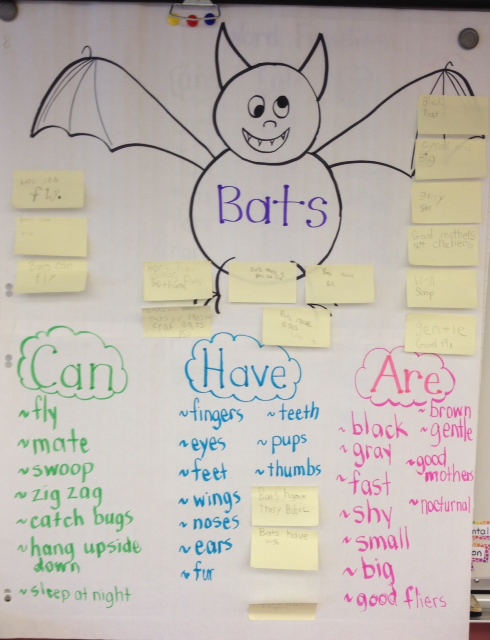 Learning about bats in Grade 1. Lots of pictures, ideas and links to inspire you!