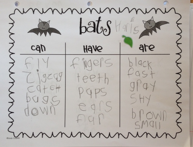 Learning about bats in Grade 1. Lots of pictures, ideas and links to inspire you!