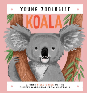 8 koala books for kids