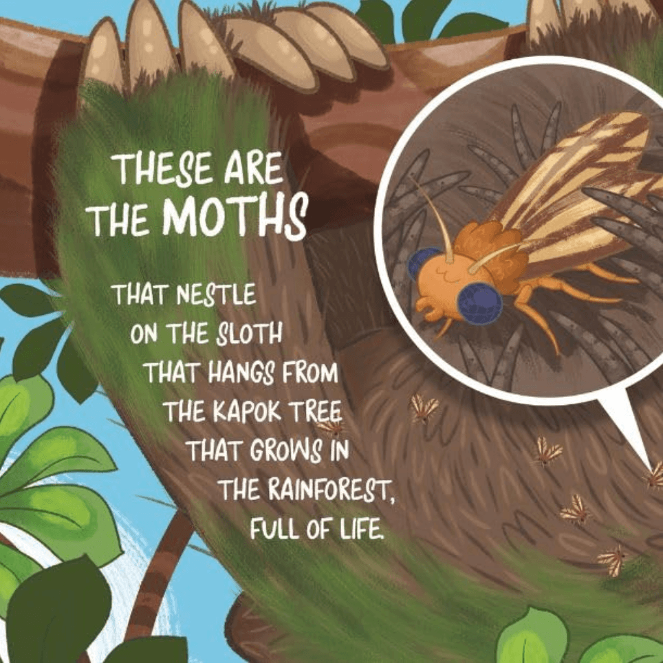 Sloths and Their Moths picture book review