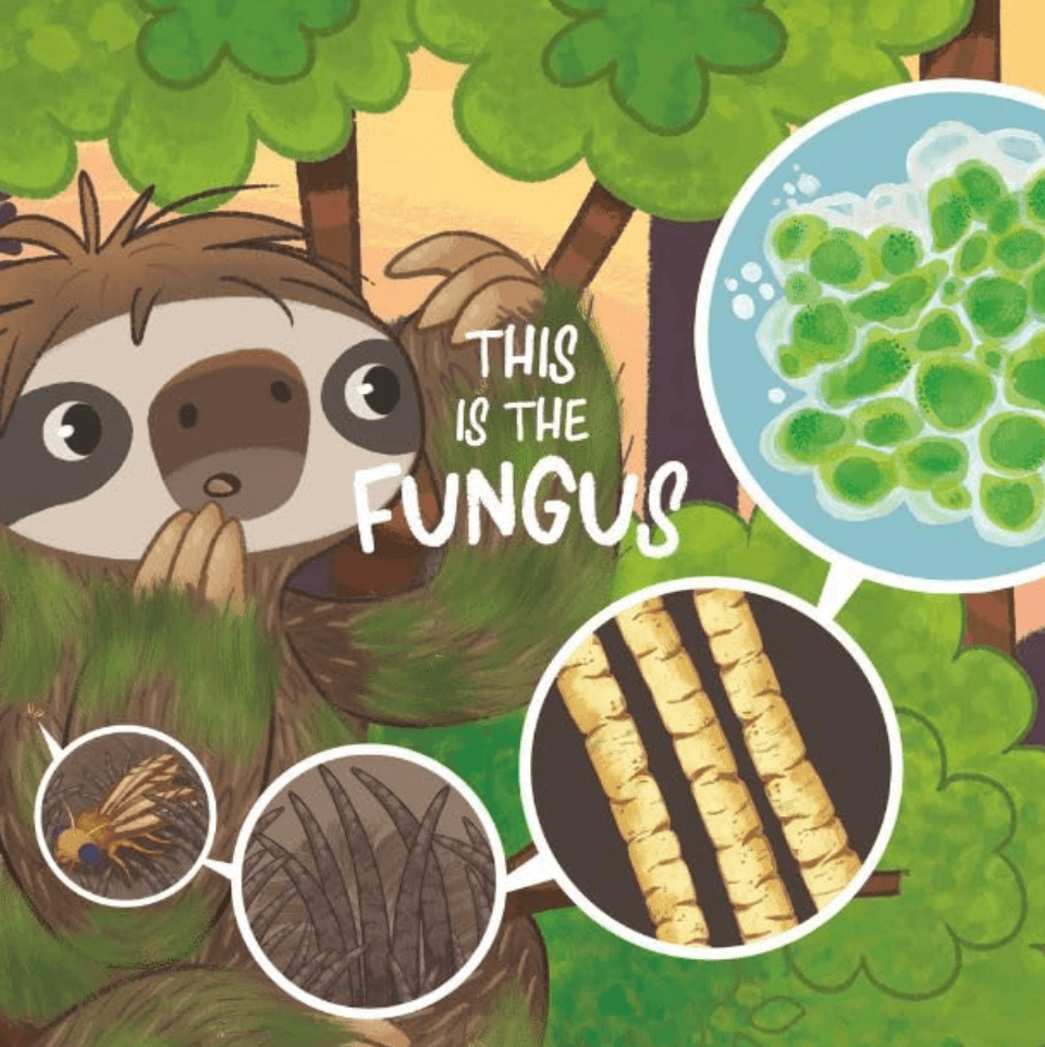 Sloths and Their Moths picture book review